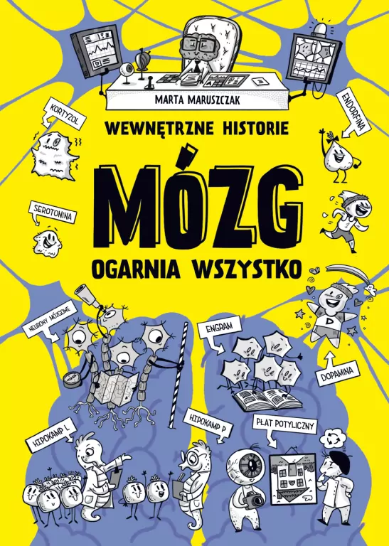 Wewnętrzne historie. Mózg ogarnia wszystko - tantis.pl
