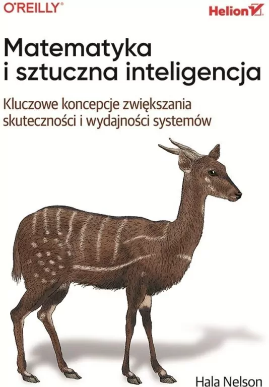 Matematyka i sztuczna inteligencja - tantis.pl