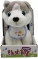 Pies pluszowy husky - tantis.pl
