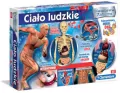 Ciało ludzkie. Naukowa zabawa. 60249 - tantis.pl
