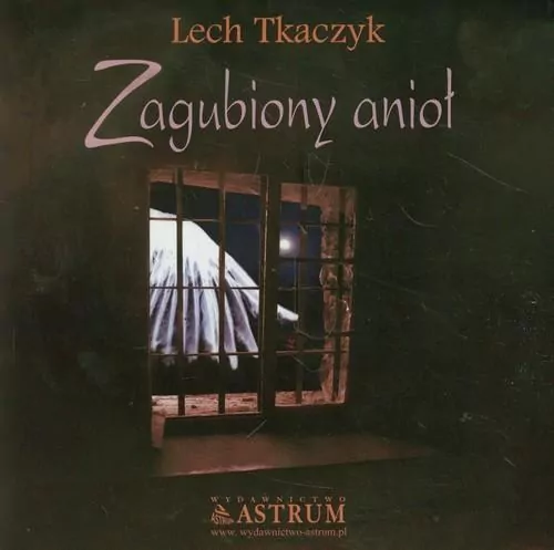 Zagubiony anioł + CD - tantis.pl