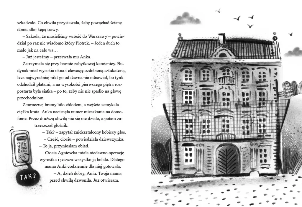 Zagadka nawiedzonej kamienicy. Detektywi z Tajemniczej 5. Tom 2 - tantis.pl