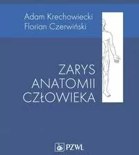 Zarys anatomii człowieka - tantis.pl