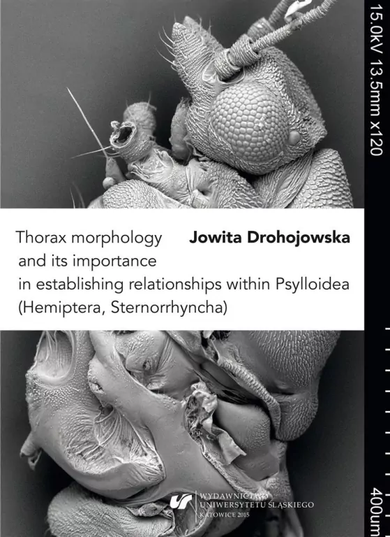 Thorax morphology and its importance... - tantis.pl