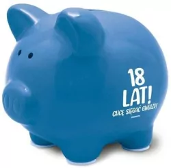 Skarbonka Pastel-18-stka chłopak