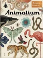 Animalium. Muzeum Zwierząt - tantis.pl