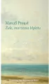 Żale, marzenia błękitu - tantis.pl