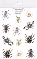 Tatuaże zmywalne. Pajęczaki - tantis.pl