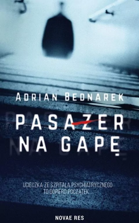 Pasażer na gapę - tantis.pl