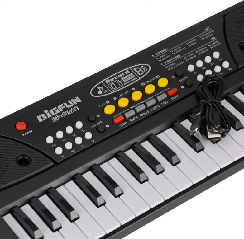 ORGANY B/O 44X17X6 MC PUD 36 - tantis.pl