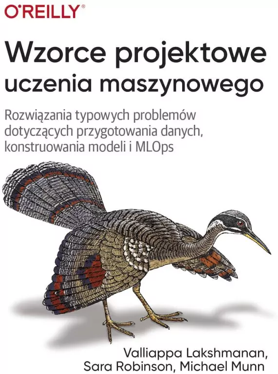 Wzorce projektowe uczenia maszynowego - tantis.pl