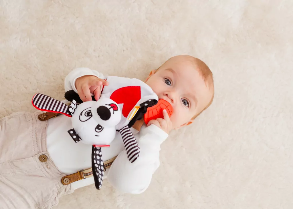 Szeleszczący Piesek Pedro 81048 - tantis.pl