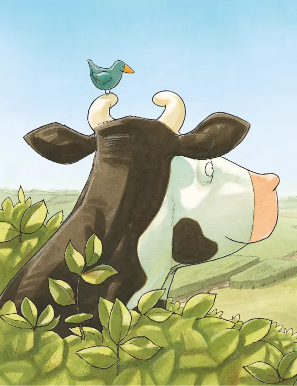 Krowa Matylda bawi się w chowanego - tantis.pl