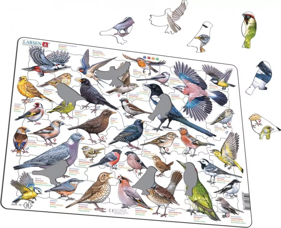 Układanka Garden Birds Ptaki ogrodowe polne Maxi - tantis.pl