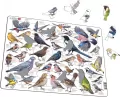 Układanka Garden Birds Ptaki ogrodowe polne Maxi - tantis.pl