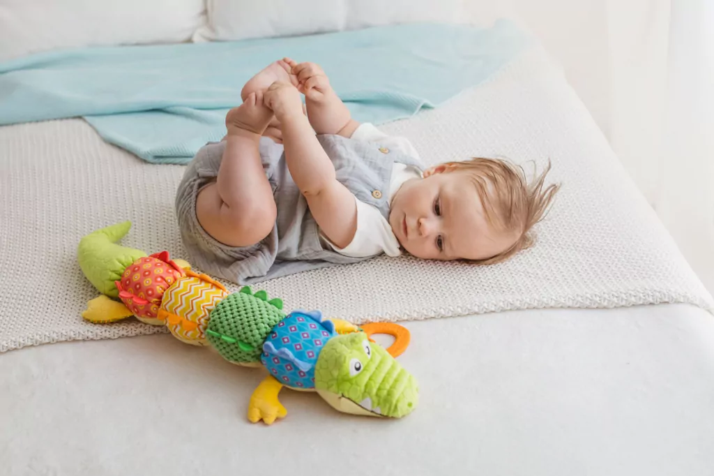 Krokodyl Oskar z miarką - tantis.pl