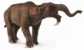 Deinotherium - tantis.pl
