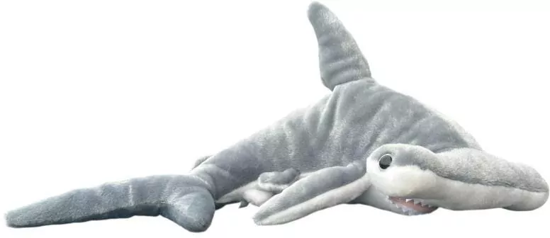 Rekin młot 38cm - tantis.pl