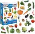 Warzywa. Zestaw magnesów - tantis.pl