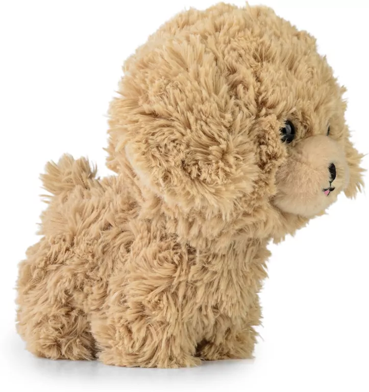 Maskotka Teddy Pets Golden Poodle - tantis.pl
