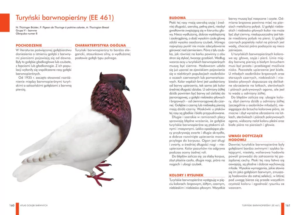 Atlas gołębi barwnych - tantis.pl