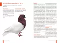 Atlas gołębi barwnych - tantis.pl