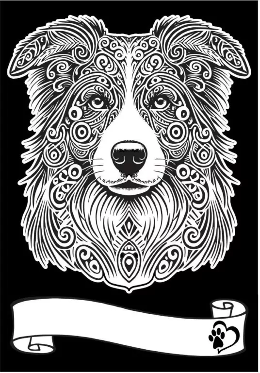 Kolorowanka Welwetowa A4 Border Collie - tantis.pl