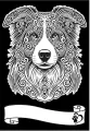 Kolorowanka Welwetowa A4 Border Collie - tantis.pl
