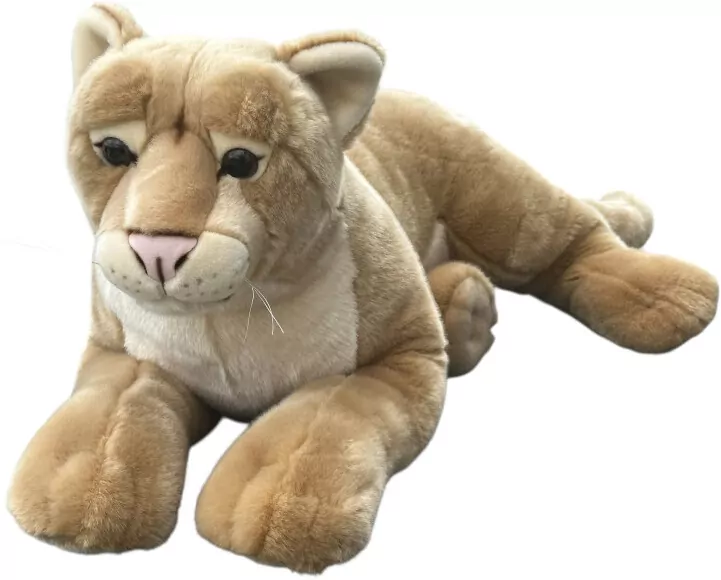 Lwica 70cm - tantis.pl