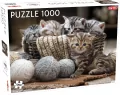 Puzzle Małe kotki 1000 - tantis.pl