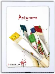 Antyrama Plexi 70x100 cm