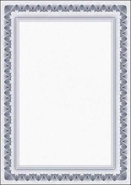 DYPLOM A4 OKOLICZN 170G GAL PAP ARK NIEB OP - tantis.pl
