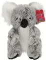 Koala australijski 25cm - tantis.pl