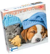 Puzzle 100 Cute Kitten and Sleepy Dog - tantis.pl