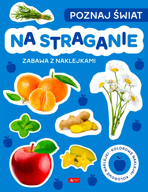 Na straganie. Poznaj świat. Zabawa z naklejkami - tantis.pl