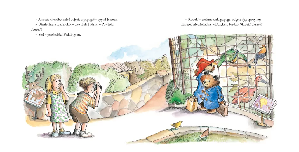 Paddington w zoo - tantis.pl