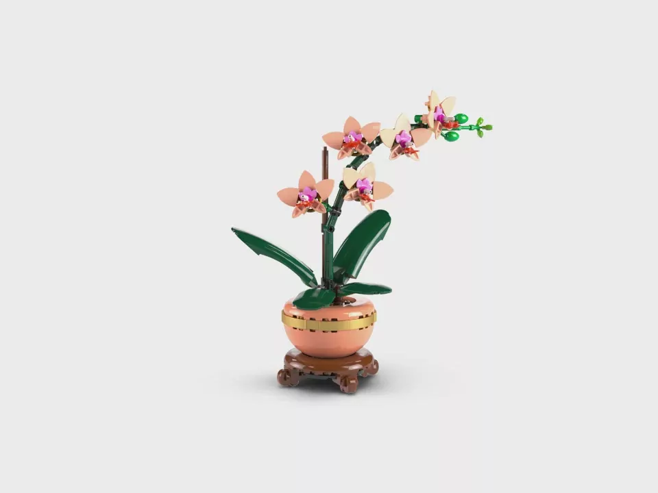 LEGO Botanicals, klocki. Mała orchidea - tantis.pl