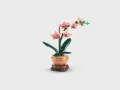 LEGO Botanicals, klocki. Mała orchidea - tantis.pl