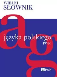 Wielki słownik języka polskiego T.1 A-G