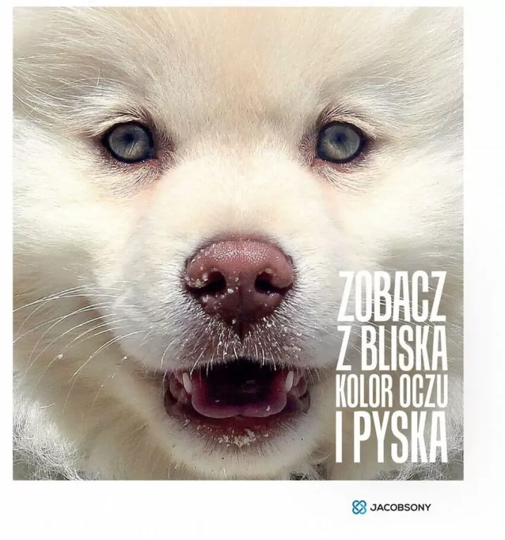 ZOBACZ Z BLISKA KOLOR OCZU I PYSKA - tantis.pl