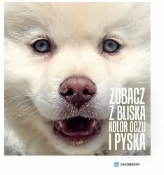 ZOBACZ Z BLISKA KOLOR OCZU I PYSKA