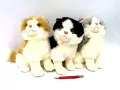Koty 30cm MIX - tantis.pl