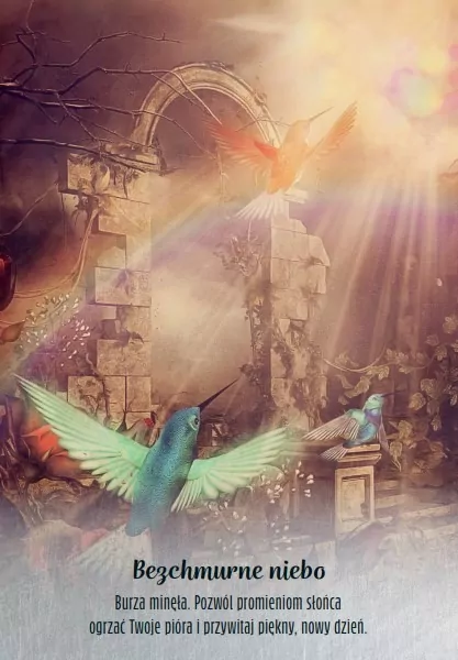 Mądrość Kolibrów - tantis.pl