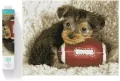 Diamond Dotz Adults Footy Pup - tantis.pl