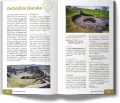 Islandia - tantis.pl