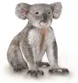 Miś koala - tantis.pl