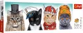 Puzzle 500 Panorama. Puszysta ekipa - tantis.pl