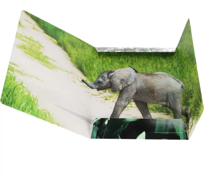 Teczka z gumką A4 Wild Animal 2 mix - tantis.pl