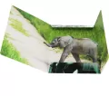 Teczka z gumką A4 Wild Animal 2 mix - tantis.pl