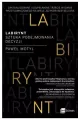 Labirynt. Sztuka podejmowania decyzji wyd. 3 - tantis.pl